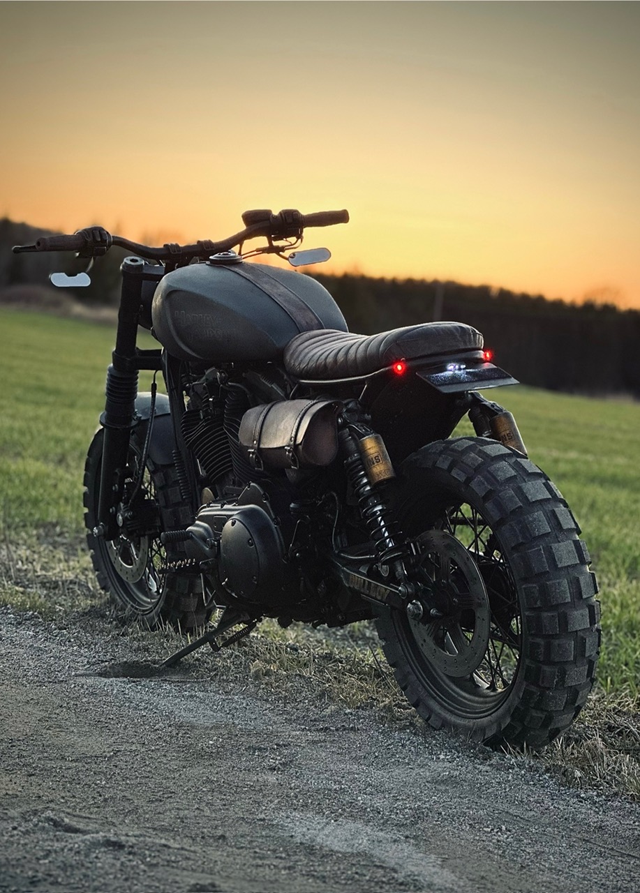 Sportster Scrambler detail 4