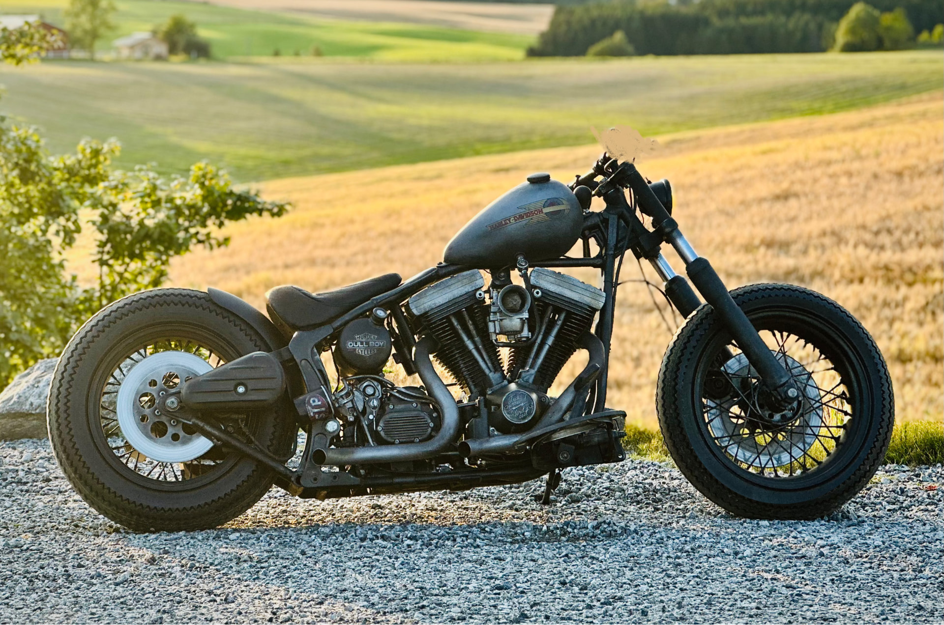 Japan Bobber detail 1