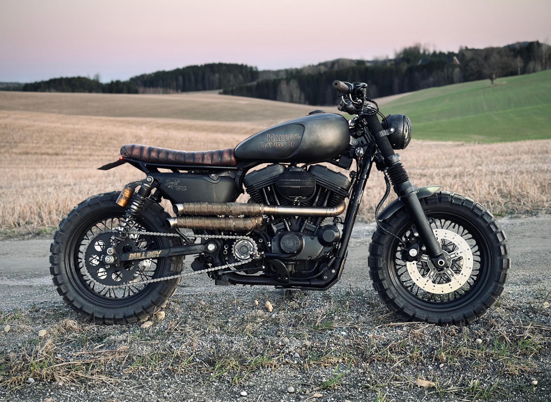 Sportster Scrambler detail 1