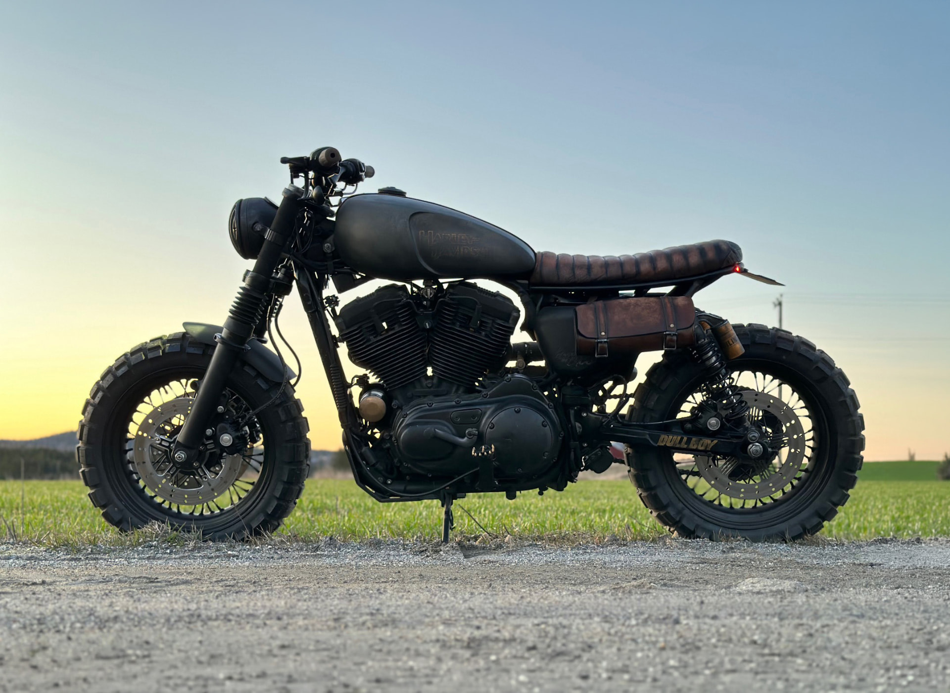 Sportster Scrambler detail 2
