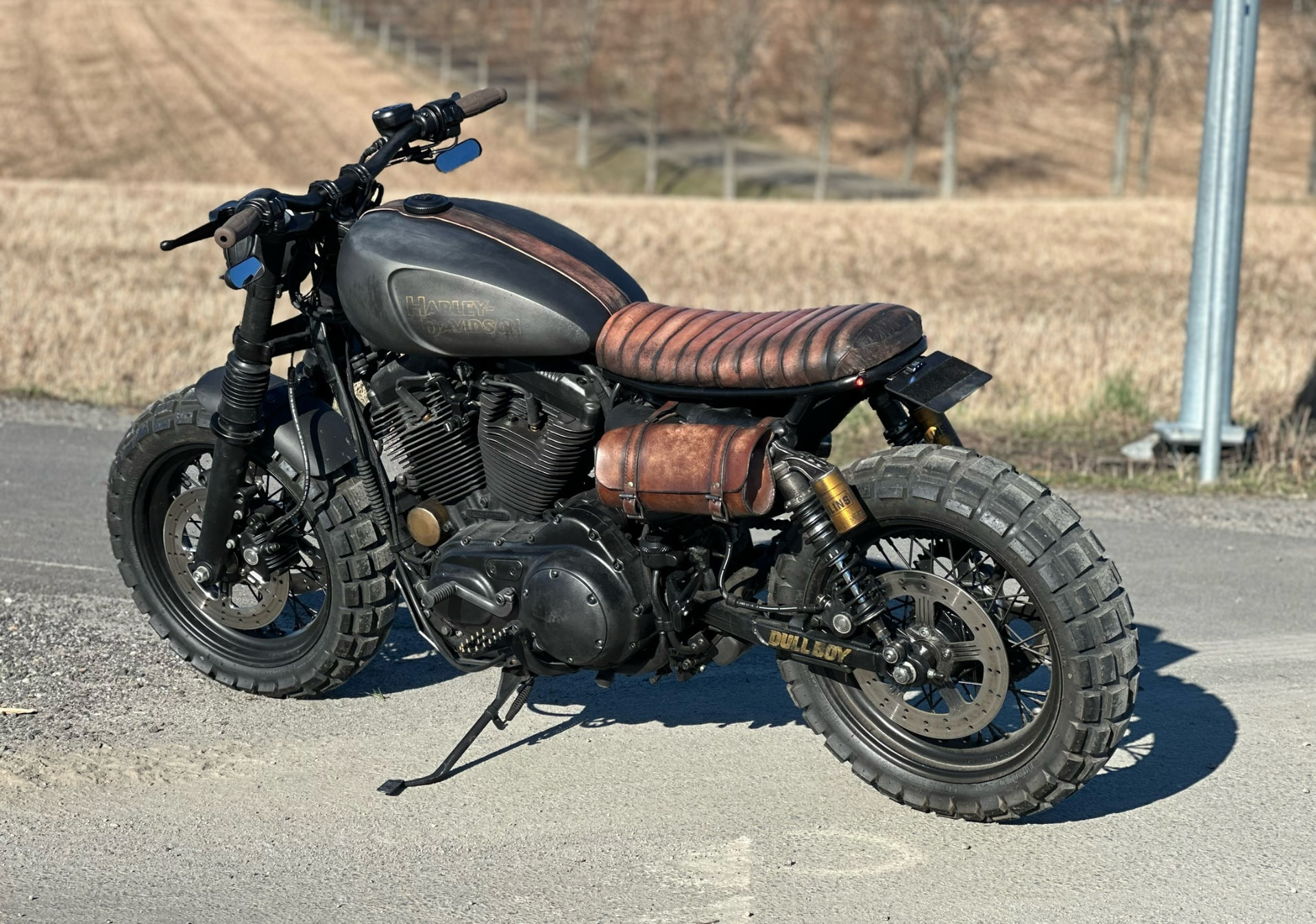 Sportster Scrambler detail 3